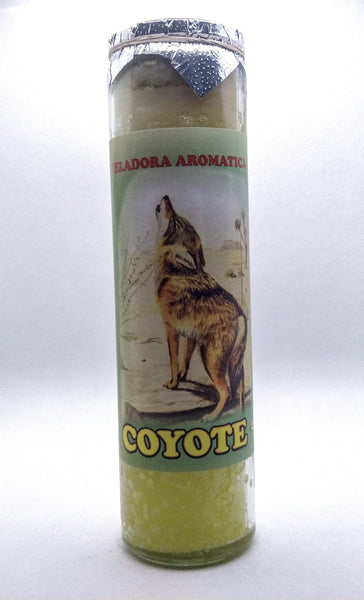 Coyote   Prepared Candle