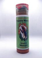 Magiacal Macaw  ( Pajaro Macua )    Prepared Candle